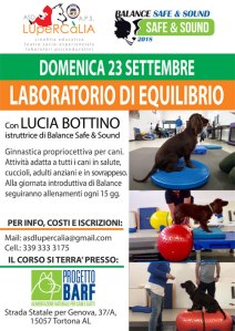 locandina_balance_web