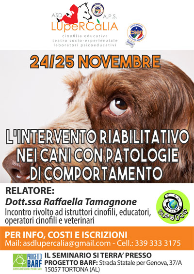 TAMAGNONE_web