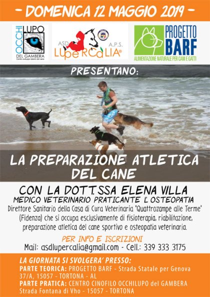 preparzione-atletica_WEB
